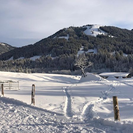 Alte Schmiede Διαμέρισμα Balderschwang Εξωτερικό φωτογραφία